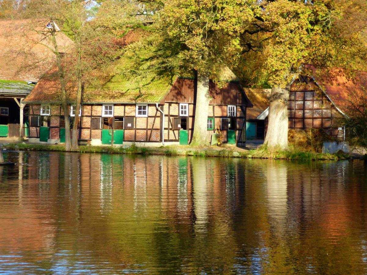 Fewo-mundi Holiday home